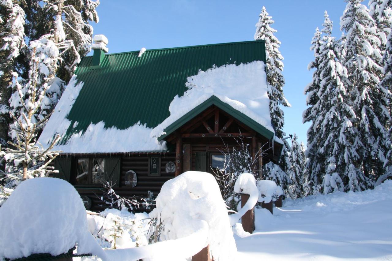 Durmitor Chalet Žabljak Exterior foto